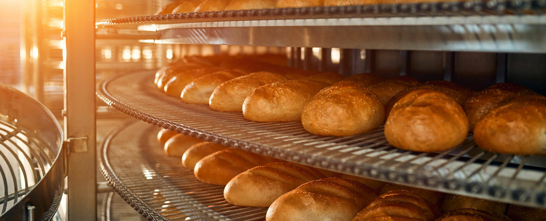 Bread in a bakery factory